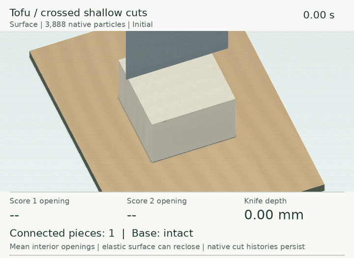 Surface reconstruction from recorded states